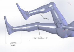 Webmodel_Knees.jpg