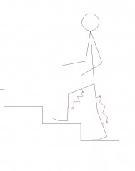 5.JPG