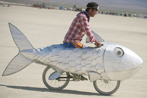 Velorution - Fish bike.jpg