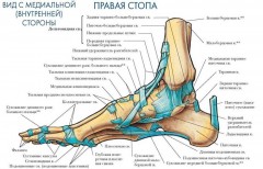 стопа1.jpg