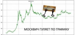 14386128[1].jpg