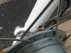 IMG_20200805_133943.jpg
