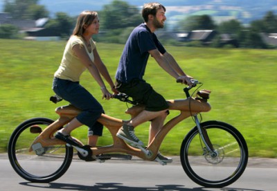 baum-bike.jpg