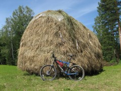 IMG_0392.JPG