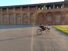IMG_20240723_195658.jpg
