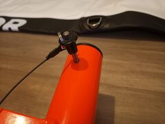 IMG_20240823_113148.jpg