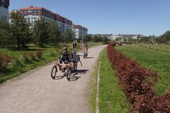 P5253500.JPG