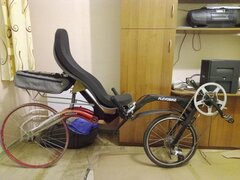 IMG_20240909_224307_441.jpg