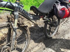 20190511_124319.jpg