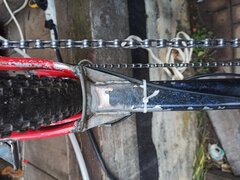 IMG_20241117_155325.jpg