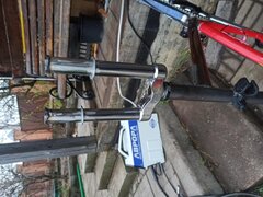 IMG_20241117_155311.jpg