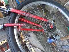 IMG_20241110_141333.jpg