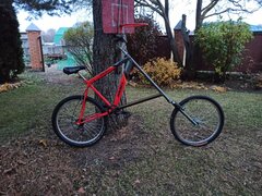 IMG_20241027_170009.jpg