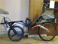 IMG_20241118_210513_640.jpg