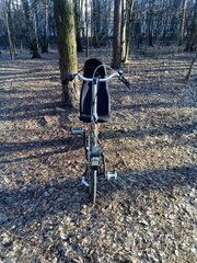 IMG_20250315_165631_589.jpg