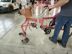IMG_20250406_134705.jpg