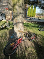 IMG_20250420_171601.jpg