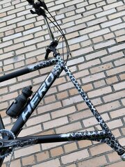 IMG_20250808_170326.jpg