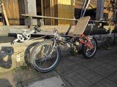 IMG_20250817_182817.jpg