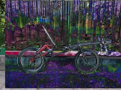 1000058459_20250824223719732.jpg