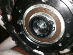 IMG_20251010_181552.jpg