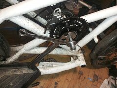 IMG_20251010_184209.jpg