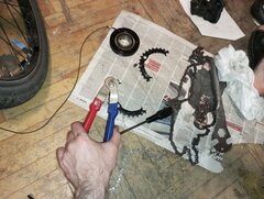 IMG_20251010_214746.jpg