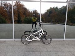 IMG_20251011_122135.jpg