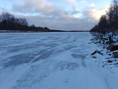 IMG_20251223_204618_585.jpg