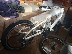 IMG_20260209_140704.jpg