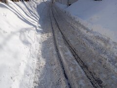 IMG_20260223_145156.jpg