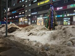 IMG_20260310_213736.jpg