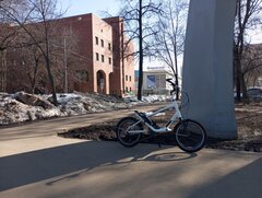 IMG_20260314_130545.jpg