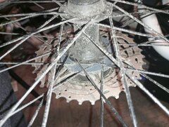 IMG_20260401_224124.jpg