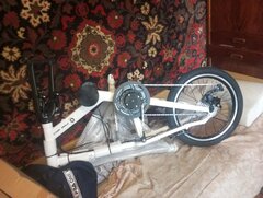 IMG_20260410_101755.jpg
