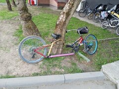 IMG_20260517_170337.jpg