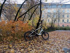 IMG_20261016_130939.jpg