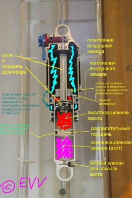 eb07foxshox03.jpeg
