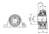 image_0000140.jpg