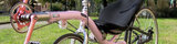 pinkonerecumbent.jpg