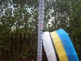 100_35201.jpg