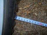 100_35231.jpg