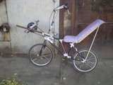 P9100004-1.JPG