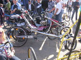 IMG_2164_resize.JPG