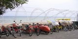 IMG_2217_resize.JPG