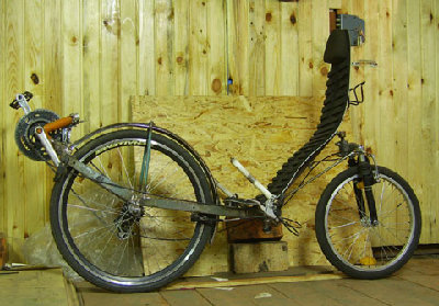 SV100048_1.jpg