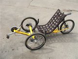 radion-trike.jpg